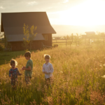 Permaculture: Sustainable Living in Harmony with Nature