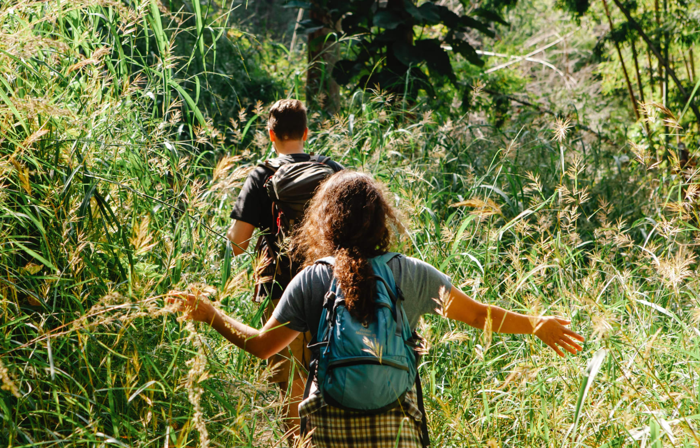 Biodiversity: The Lifeline of Our Planet