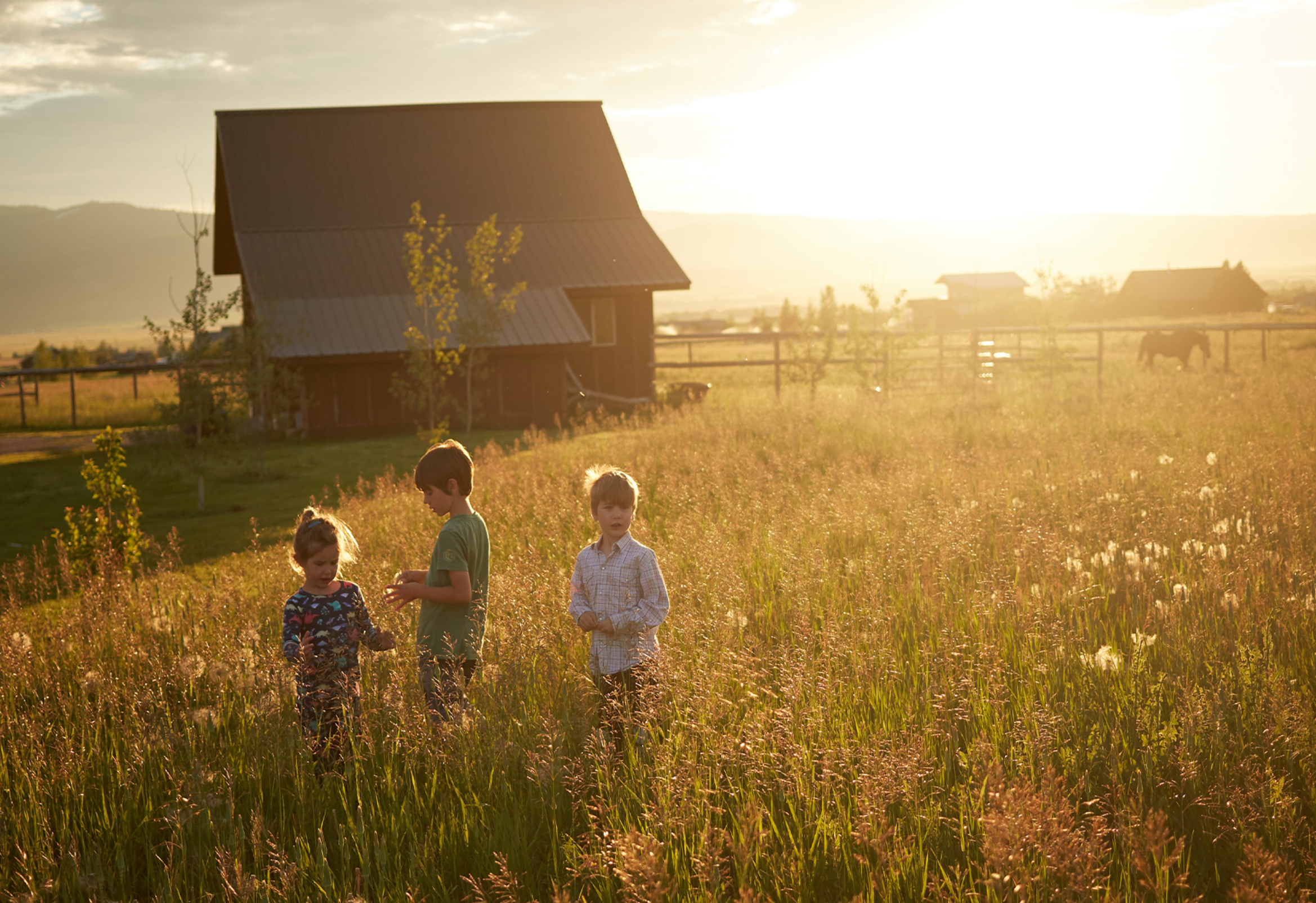 Permaculture: Sustainable Living in Harmony with Nature